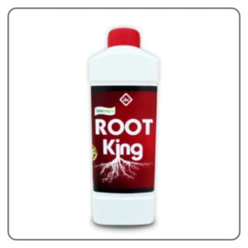 Root King