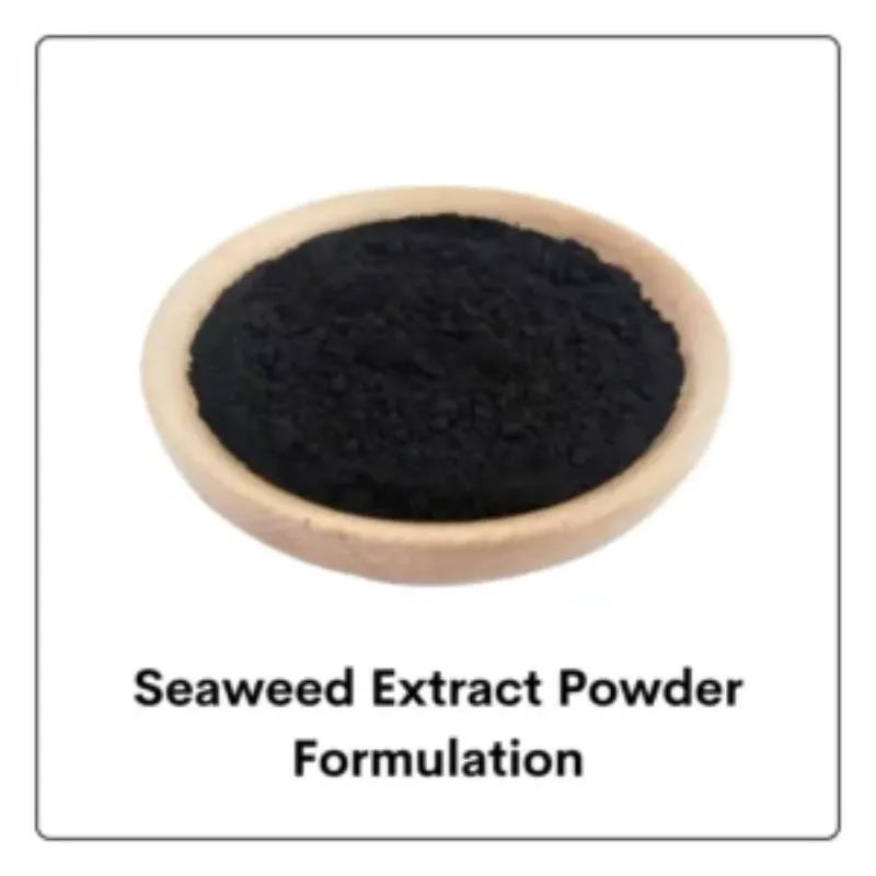 Seaweed Extract Powder Formulation